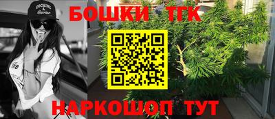 ешки Моздок