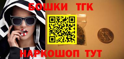 СК Можга