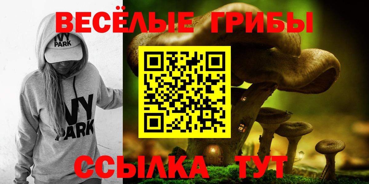 Псилоцибиновые грибы Psilocybe Ярославль